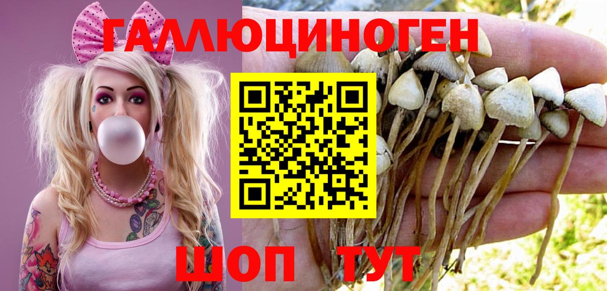 Псилоцибиновые грибы ЛСД  Вход с VPN  Сосновый Бор 